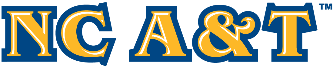 North Carolina A&T Aggies 2006-Pres Wordmark Logo v2 diy DTF decal sticker